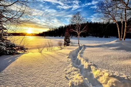 winter-landscape-636634_1920.jpg